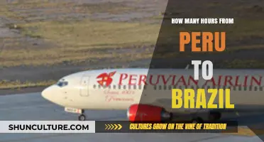 Travel Time: Peru to Brazil Flight Duration and Distance Explained
