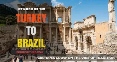 Turkey to Brazil Flight Duration: Hours and Travel Tips