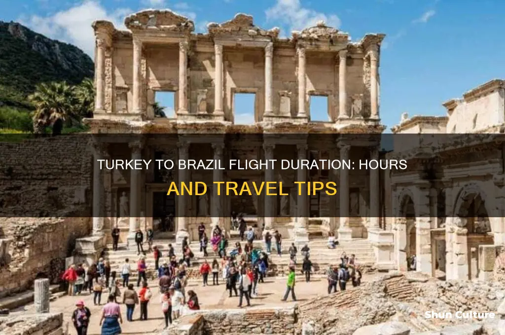 how many hours from turkey to brazil
