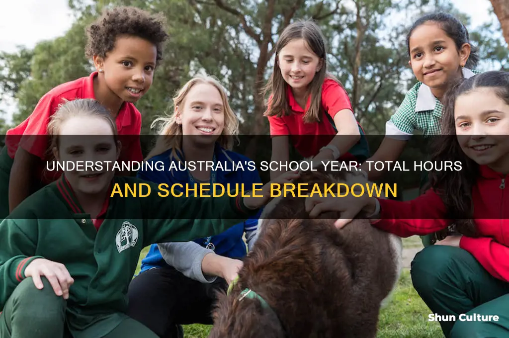 how many hours in a school year australia