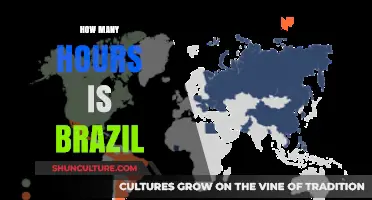 Exploring Brazil's Time Zones: Understanding the Country's Hourly Differences