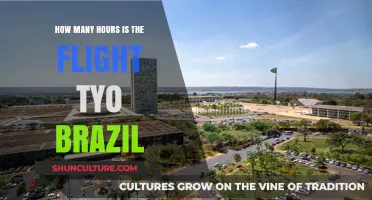 Flight Duration to Brazil: How Long is the Journey?