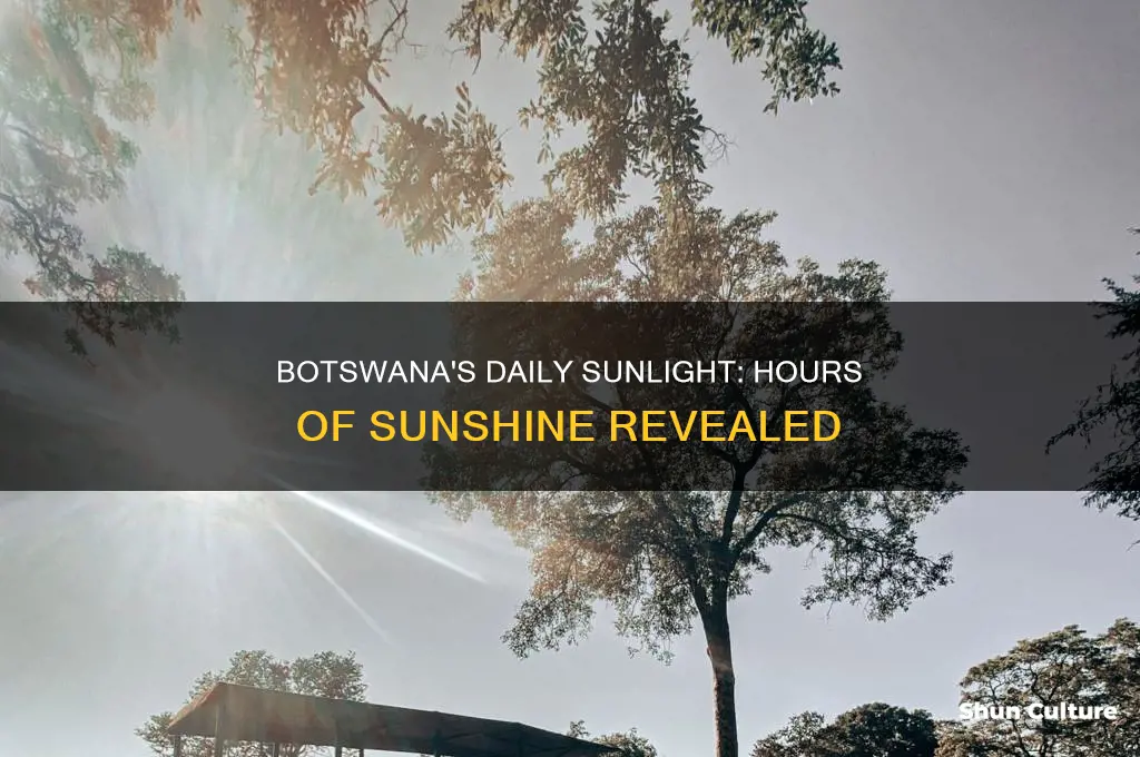 how many hours of sunlight per day in botswana