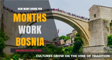 Average Monthly Work Hours in Bosnia: A Comprehensive Breakdown