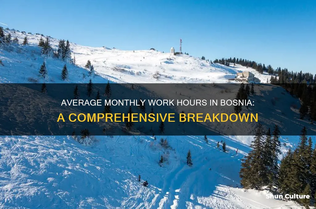 how many hours per months work bosnia
