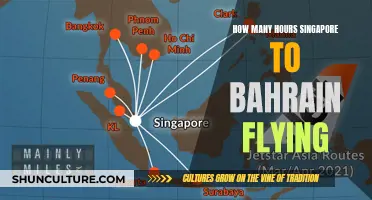 A Long-Haul Flight: Singapore to Bahrain