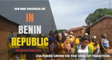 Exploring the Demographics: Households in Benin Republic
