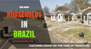 Exploring Brazil's Household Count: A Comprehensive Population Overview