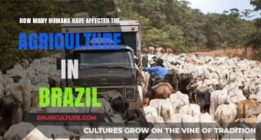 Human Impact on Brazil's Agriculture: A Comprehensive Analysis