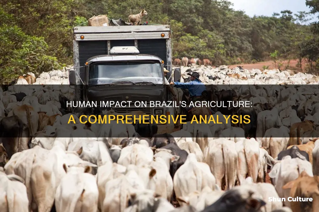 how many humans have affected the agriculture in brazil