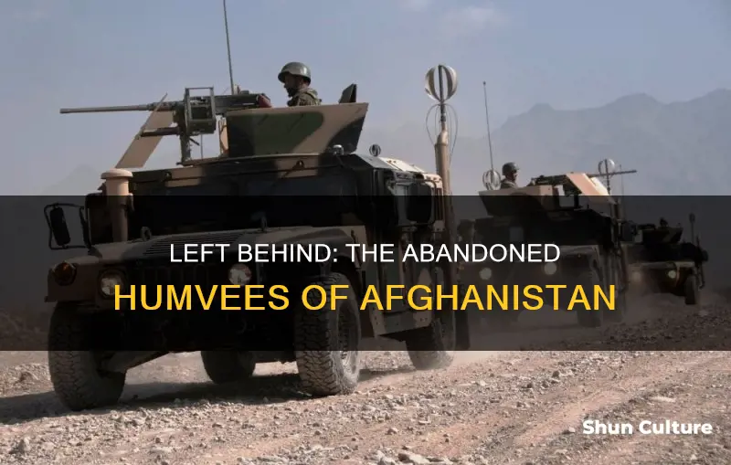 how many humvee in afghanistan