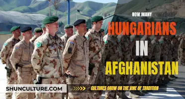 A Global Diaspora: Hungarians in Afghanistan