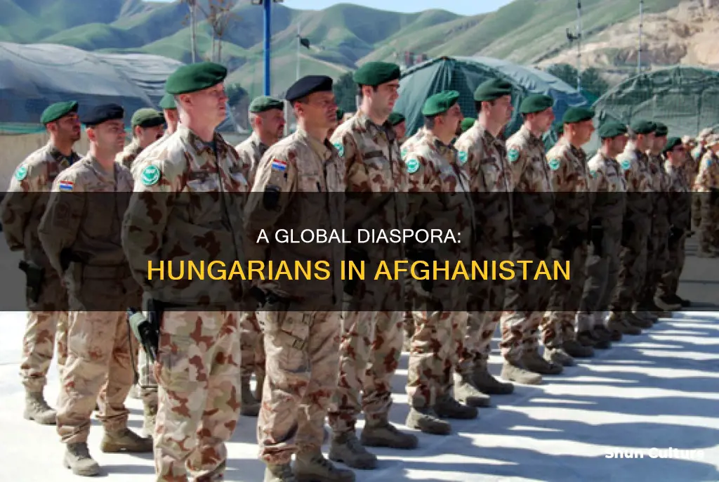 how many hungarians in afghanistan