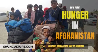 **Afghanistan's Hunger Crisis: A Nation's Struggle for Survival**