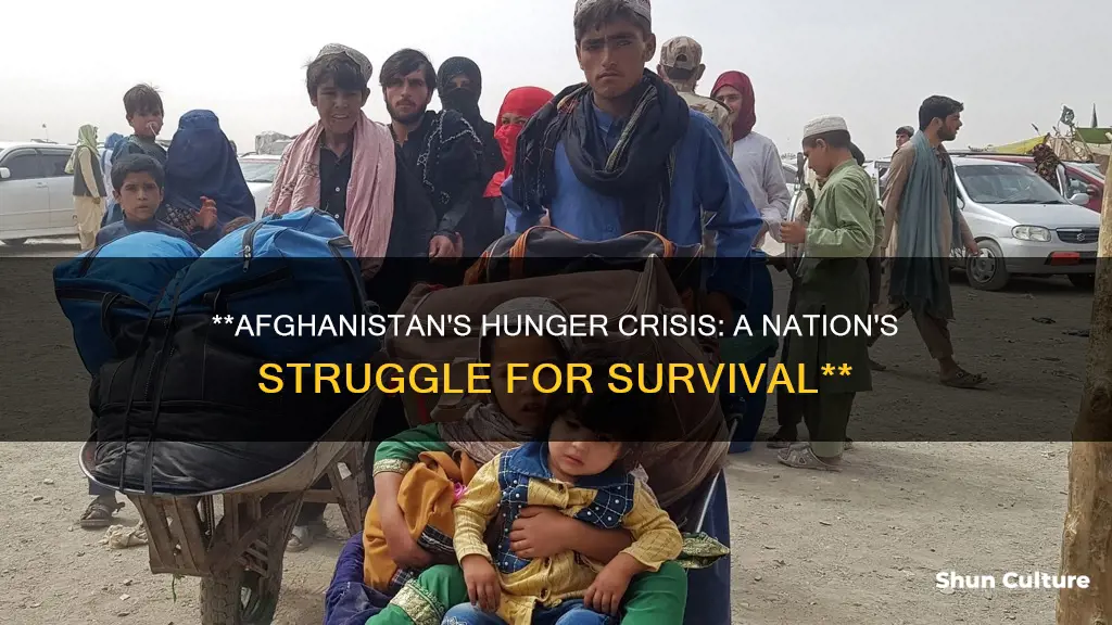 how many hunger in afghanistan