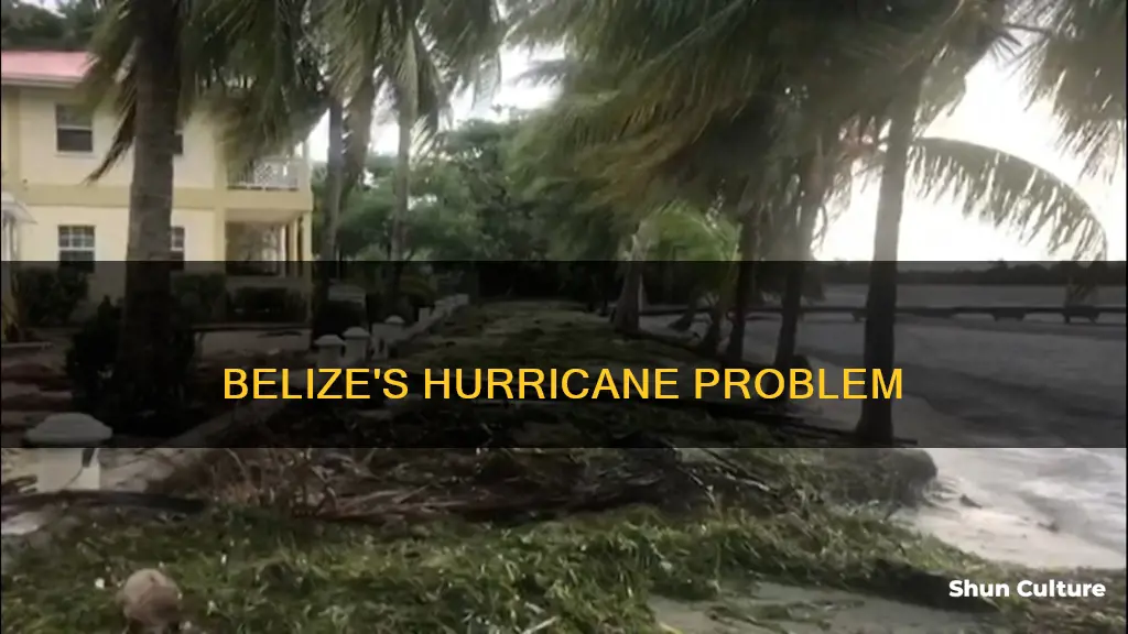 how many hurricanes does belize get