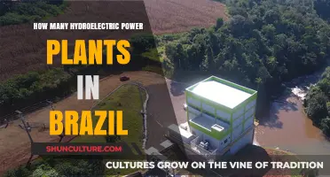 Brazil's Hydroelectric Power: Exploring the Number of Plants Nationwide