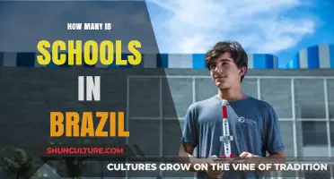Exploring the Growth of IB Schools Across Brazil: A Comprehensive Guide