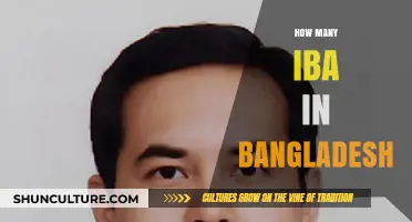 Exploring the Number of IBA Branches Across Bangladesh