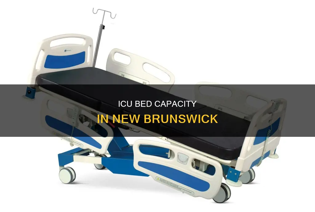 how many icu beds in new brunswick