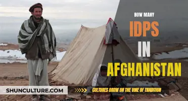 The Plight of Afghanistan's Displaced: A Growing Crisis