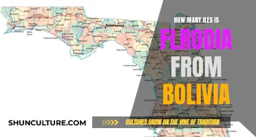 Exploring the Miles: Florida to Bolivia Distance