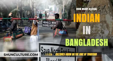 Unveiling the Complex Issue of Illegal Indian Migrants in Bangladesh