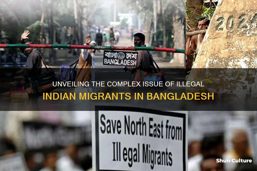 how many illegal indian in bangladesh