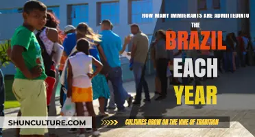 Brazil's Annual Immigration Numbers: How Many Newcomers Arrive Yearly?
