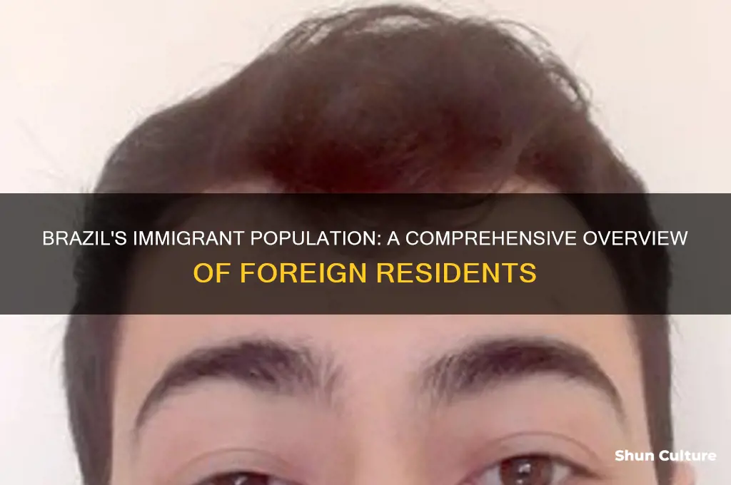 how many immigrants are in brazil