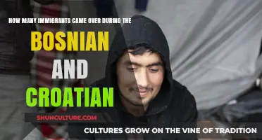 Bosnian and Croatian Immigration Waves: A Historical Overview