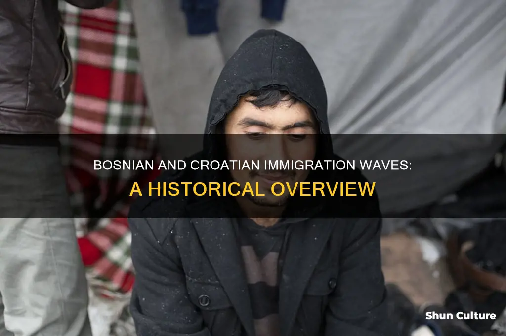 how many immigrants came over during the bosnian and croatian