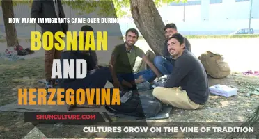 Bosnian and Herzegovinian Immigration: A Historical Overview of Arrivals