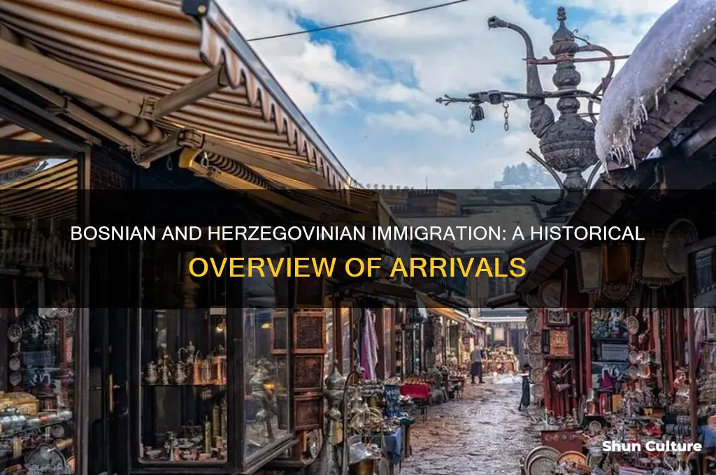 how many immigrants came over during the bosnian and herzegovina