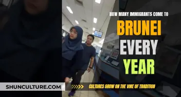 Immigration to Brunei: Annual Trends and Data