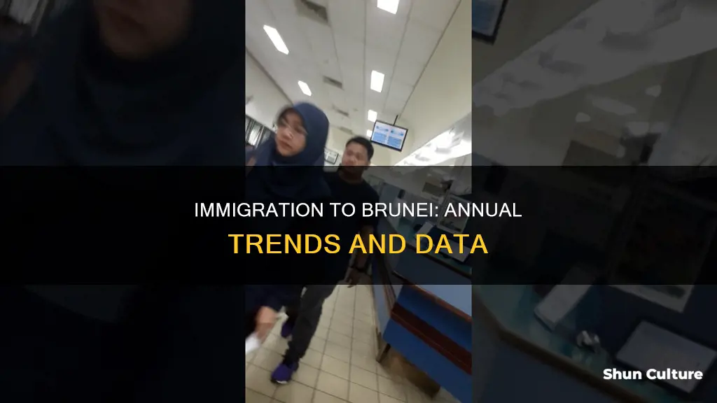 how many immigrants come to brunei every year