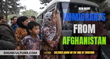 A World in Motion: Afghan Immigrants and Their Global Journey