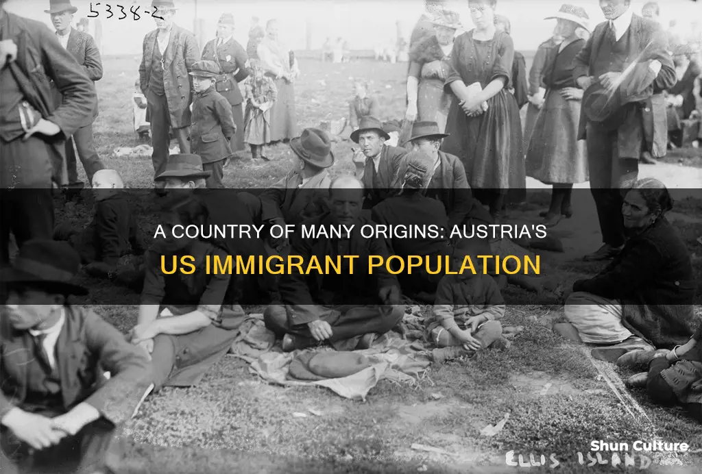 how many immigrants in austria are united states