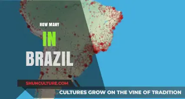 Exploring Brazil's Population: How Many People Call It Home?