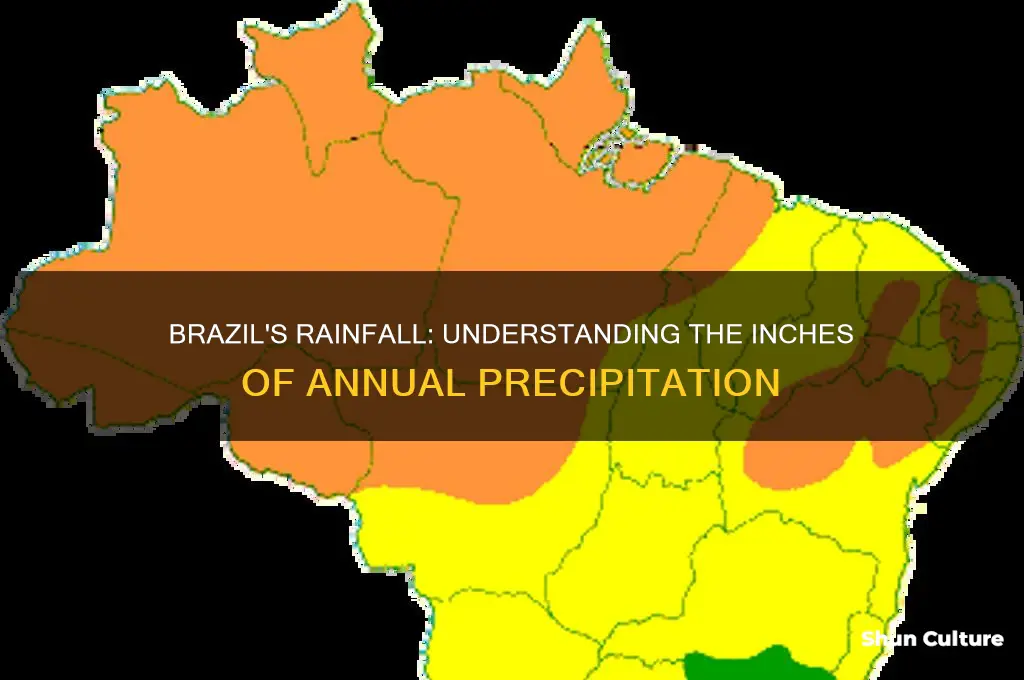 how many inches of rain does brazil get