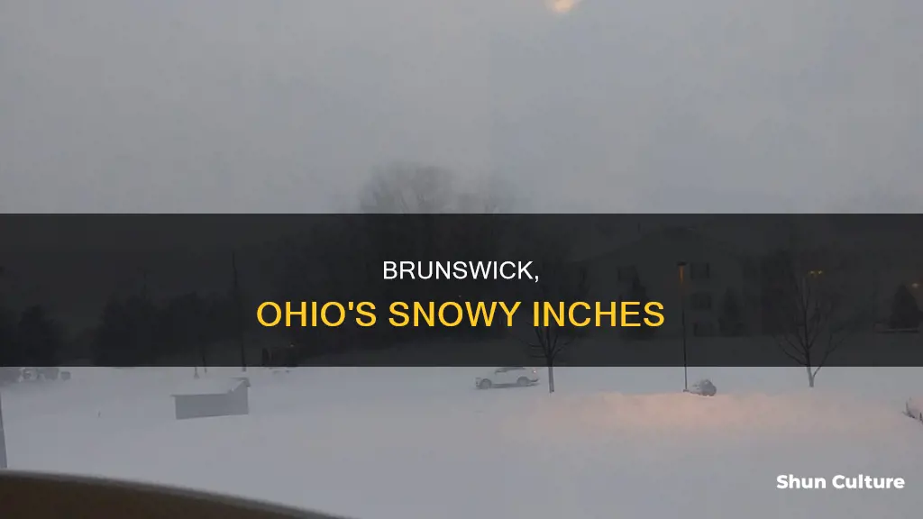 how many inches of snow in brunswick ohio