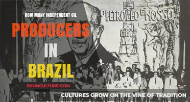 Exploring Brazil's Independent Oil Producers: A Comprehensive Industry Overview
