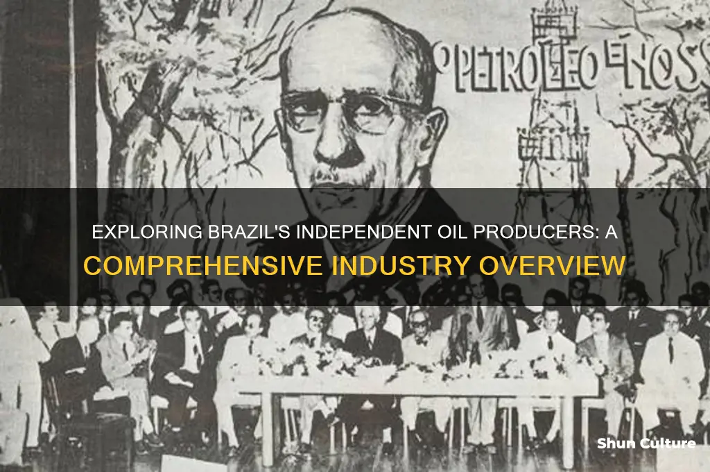 how many independent oil producers in brazil