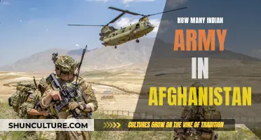 Indian Military Presence in Afghanistan: A Strategic Partnership