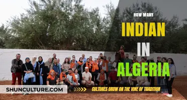 Exploring the Indian Community Presence in Algeria: Numbers and Insights