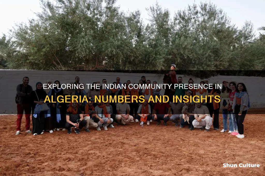 how many indian in algeria