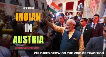 Exploring the Indian Community: A Count in Austria