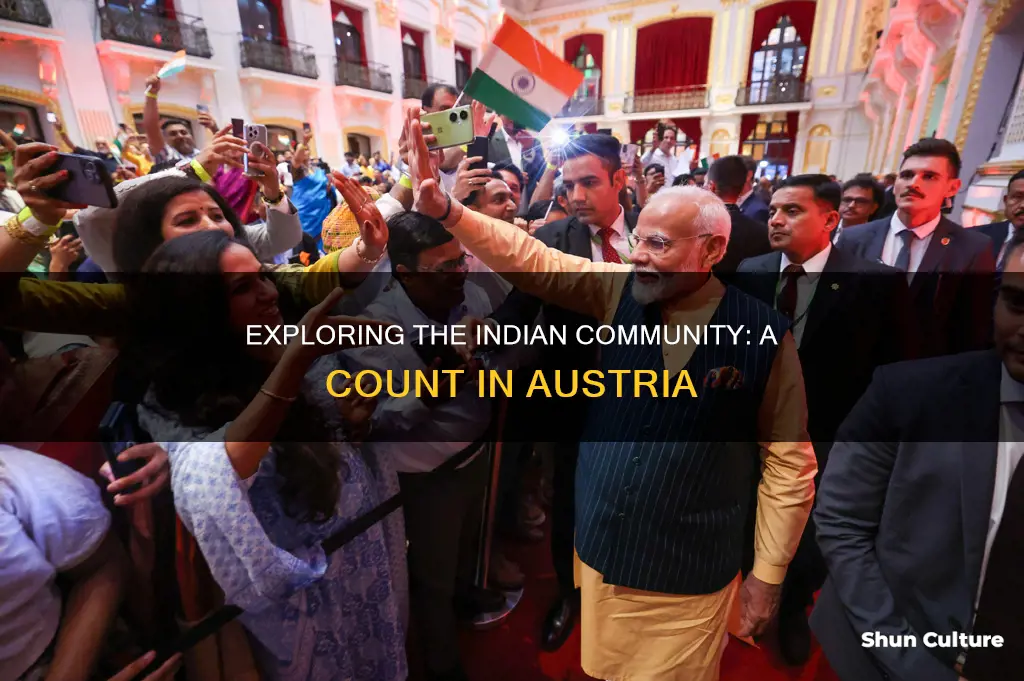 how many indian in austria