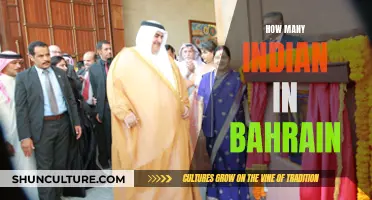 Indian Expats in Bahrain: A Large and Vibrant Community