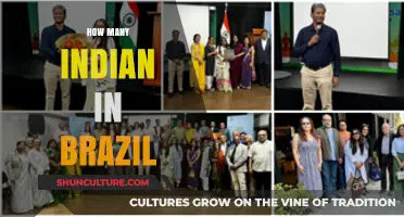 Exploring the Indian Diaspora: Population and Presence in Brazil